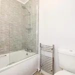 Honeysuckle 温德米尔