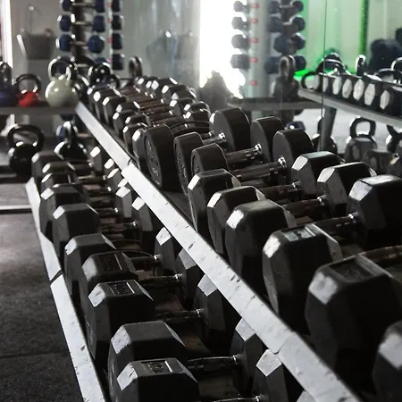 Honeysuckle 温德米尔